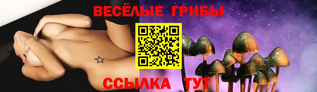 Псилоцибиновые грибы Psilocybe Тамбов